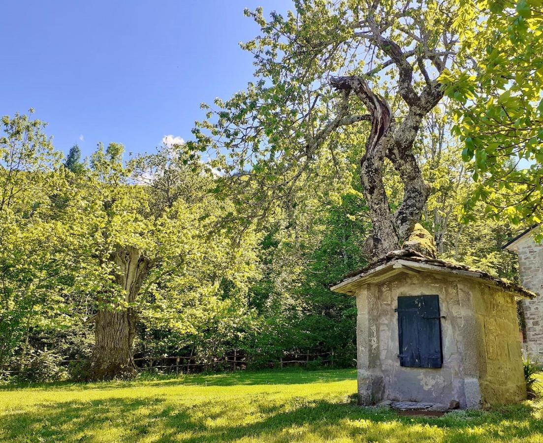 Holiday home Borgo Castelluccio